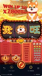 t9999 · Win Win Won