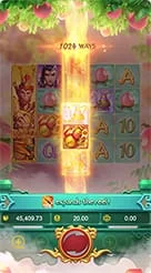 t9999 · Lgd Monkey Kg