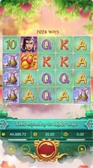 t9999 · Lgd Monkey Kg